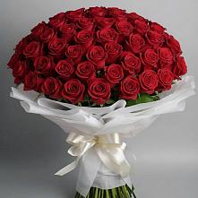 Букет 101 Красная роза Блэк Мэджик в Аромашево