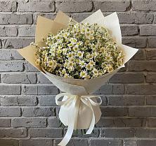 Букет цветов из:  Ромашки в Аромашево