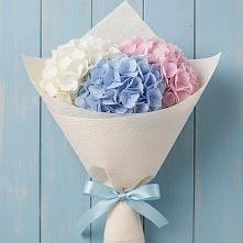 Букет цветов из:  Гортензия в Аромашево