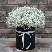 Цветочная композиция из Гипсофила в шляпной коробке в Аромашево