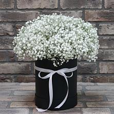 Цветочная композиция из Гипсофила в шляпной коробке в Аромашево
