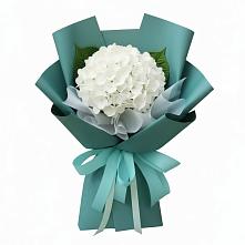 Букет цветов из:  Гортензия в Аромашево
